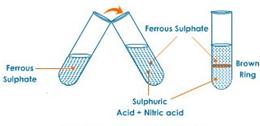 Selina Solutions Icse Class 10 Chemistry Chapter - Study Of Compounds C Nitric Acid