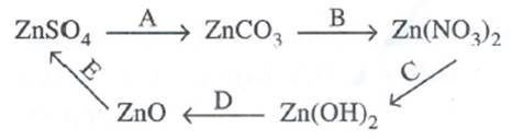 Selina Solutions Icse Class 10 Chemistry Chapter - Acids Bases And Salts