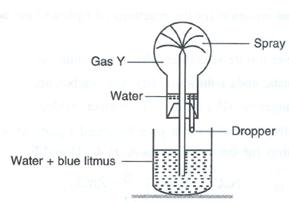 Selina Solutions Icse Class 10 Chemistry Chapter - Study Of Compounds A Hydrogen Chloride